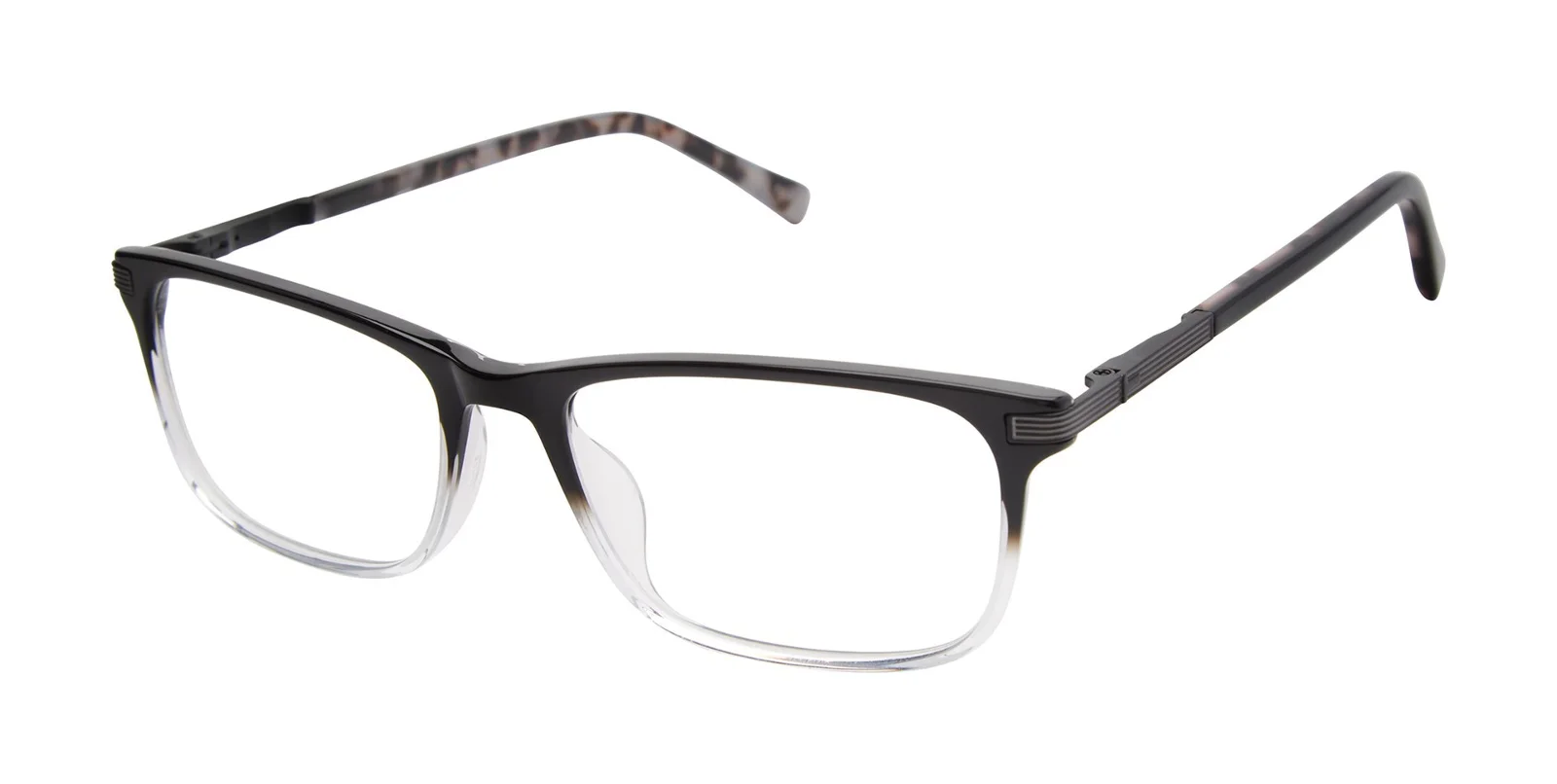 Ted Baker Eyeglasses TFM017