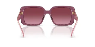 Coach Sunglasses HC8424U