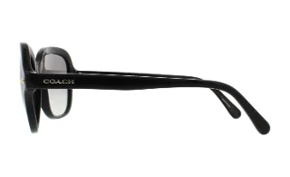 Coach Sunglasses HC8192 L1613