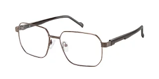BRN F011