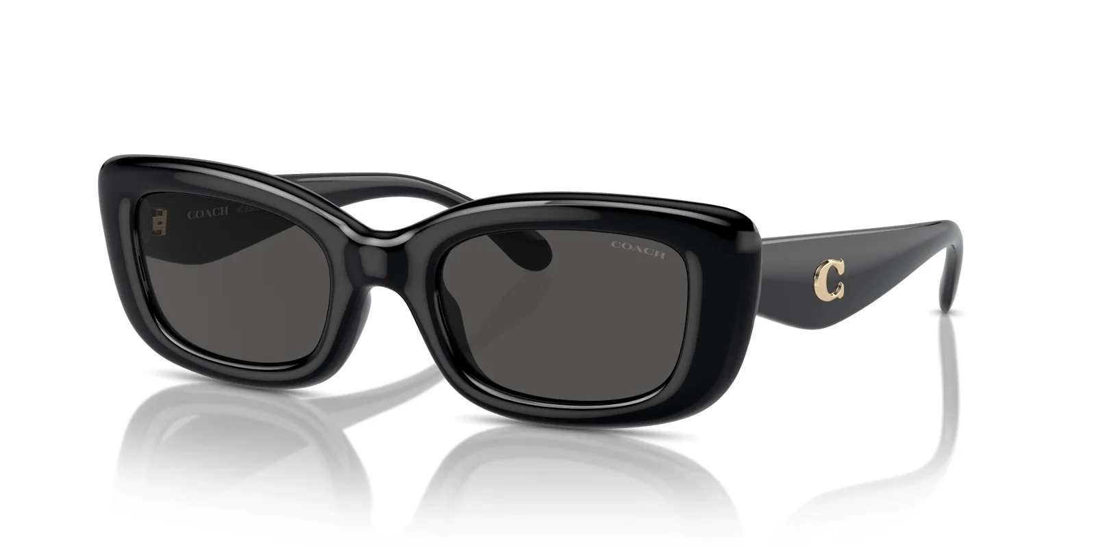 Coach Sunglasses HC8390U