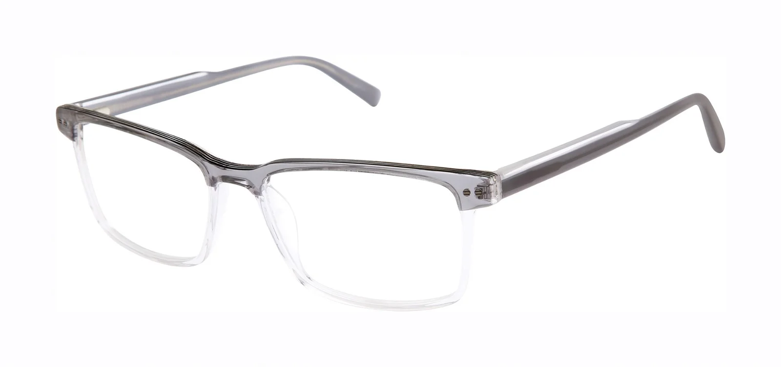 Ted Baker Eyeglasses TXL012