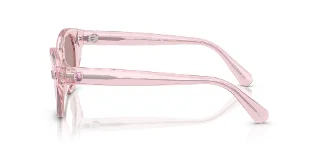 Swarovski Sunglasses SK6025F