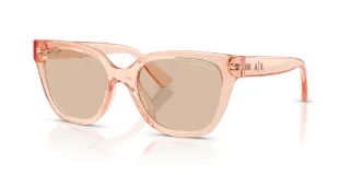 839593 Transparent Peach