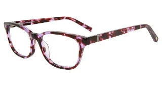 Purple Tortoise
