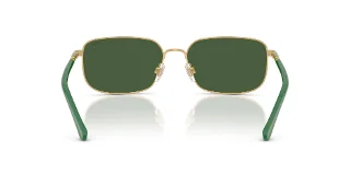 Polo Sunglasses PH3159