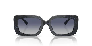 Coach Sunglasses HC8380U