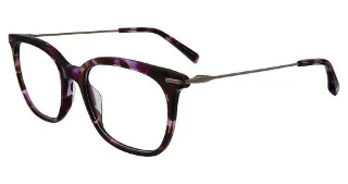 Purple/Tortoise