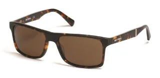 52E Dark Havana