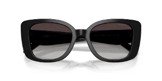 Coach Sunglasses HC8450U
