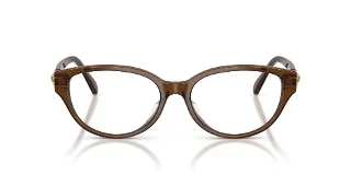 Swarovski Eyeglasses SK2058D