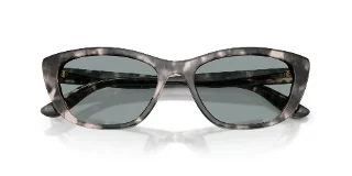 Dolce & Gabbana Sunglasses DG4571