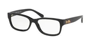 Coach Eyeglasses HC6133