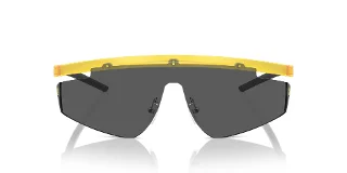 Ferrari Scuderia Sunglasses FZ6001