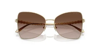 Jimmy Choo Sunglasses JC4010B