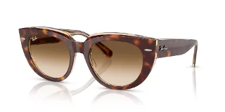 141451 Light Havana On Transparent Multicolor