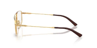 Polo Eyeglasses PH1247
