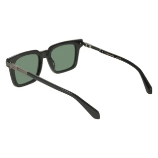 Salvatore Ferragamo Sunglasses SF2103S