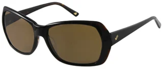 William Rast Sunglasses WRS 2031