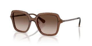 106713 Transparent Brown