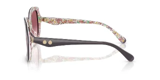 Coach Sunglasses HC8410U