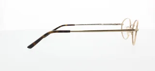 Polo Eyeglasses PP8009