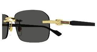 Gucci Sunglasses GG1221S