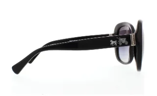 Coach Sunglasses HC8158 L139