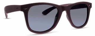 INVU Sunglasses INVU-124