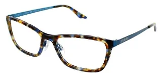 Blue Tortoise