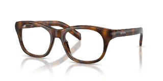 20D1O1 Juniper Tortoise