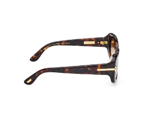 Tom Ford Icon Sunglasses FT1253-F