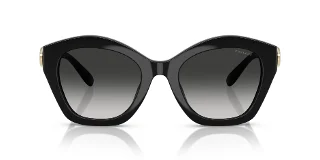 Coach Sunglasses HC8421U