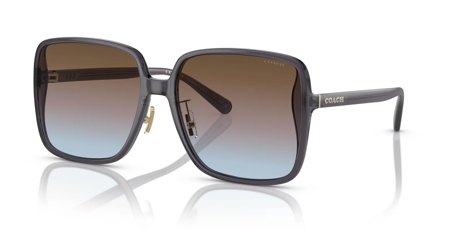 Coach Sunglasses HC8368D