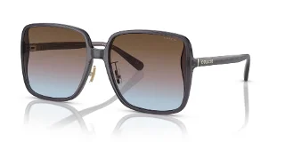 Coach Sunglasses HC8368D