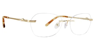 Jenny Lynn Eyeglasses Dignified