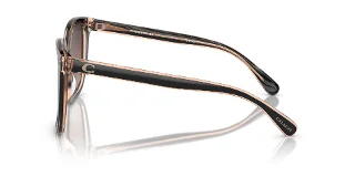 Coach Sunglasses HC8381F