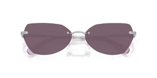 Swarovski Eyeglasses SK1031