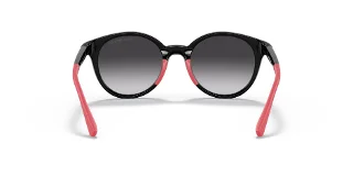 Emporio Armani Sunglasses EK4185F