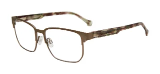 Lucky Brand Eyeglasses VLBD321