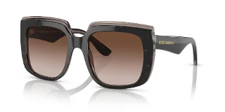 502/13 Havana On Transparent Brown