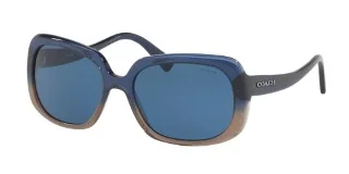 Coach Sunglasses HC8178F L1592