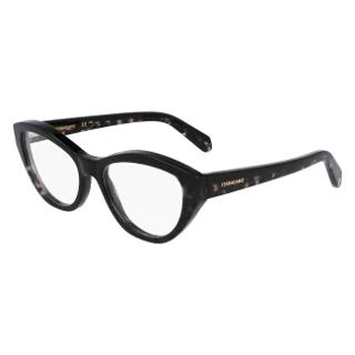 004 Black/Black Tortoise