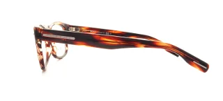 Hugo Boss Eyeglasses 0519