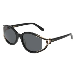 Salvatore Ferragamo Sunglasses SF2111S