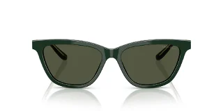 Giorgio Armani Sunglasses AR8221