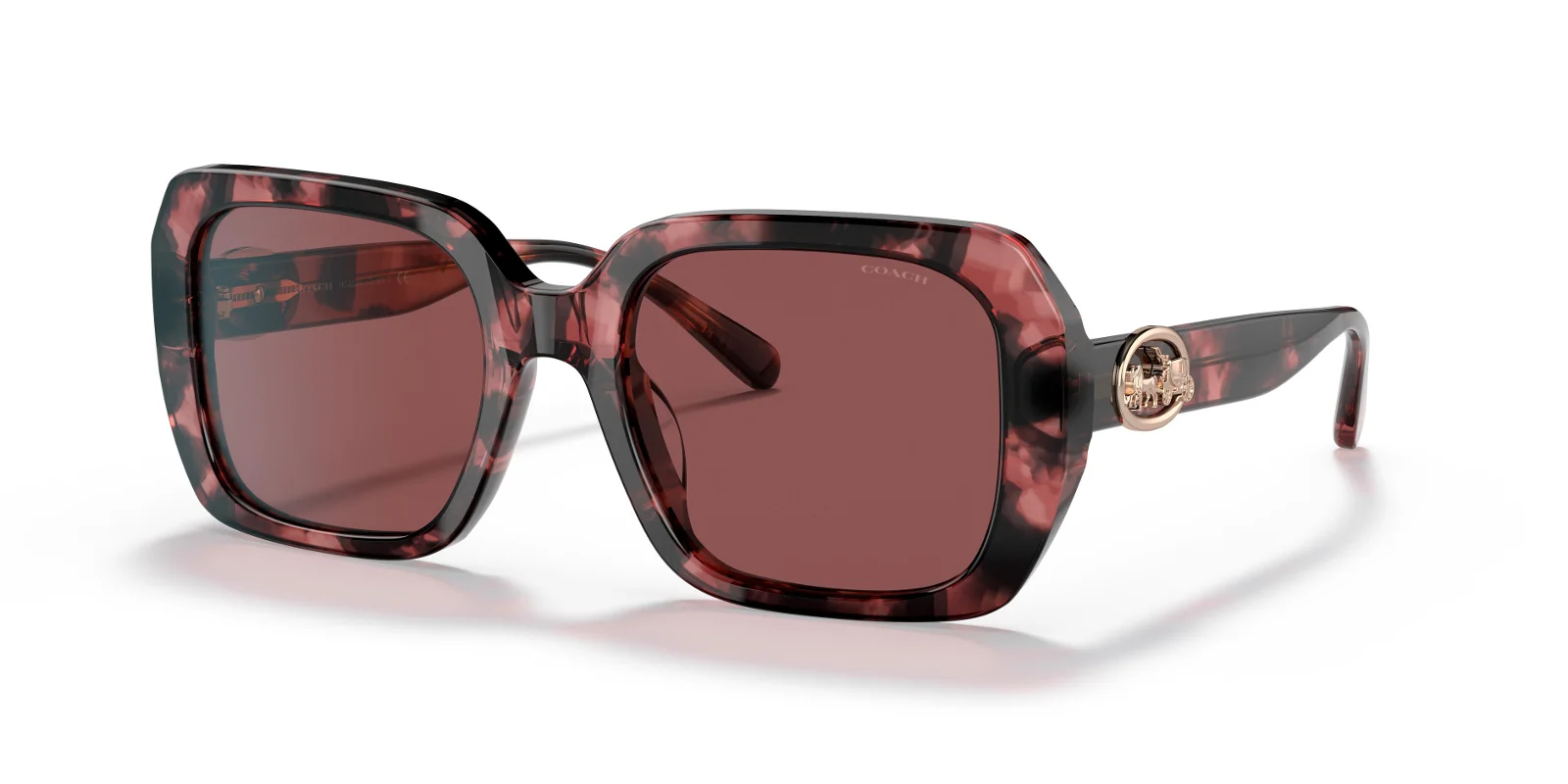 Coach Sunglasses HC8329U