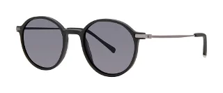 Black (Polarized)