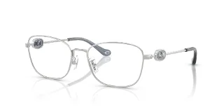 9001 Shiny Silver