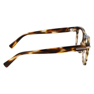 Salvatore Ferragamo Eyeglasses SF3015